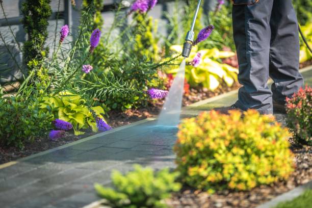 Best Boat and Dock Cleaning  in Long Lake, IL
