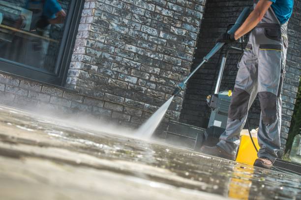 Best Sidewalk and Walkway Cleaning  in Long Lake, IL