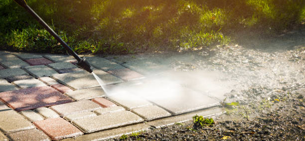 Best Driveway Pressure Washing  in Long Lake, IL